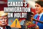 Canadas Immigration Policy after the Justin Trudeaus Resignation