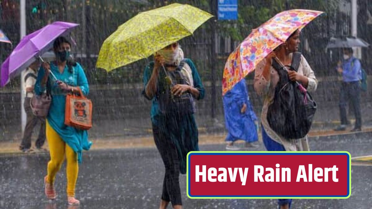 Heavy Rain Alert