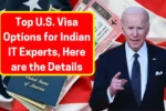 Top U.S. Visa Options for Indian IT Expert