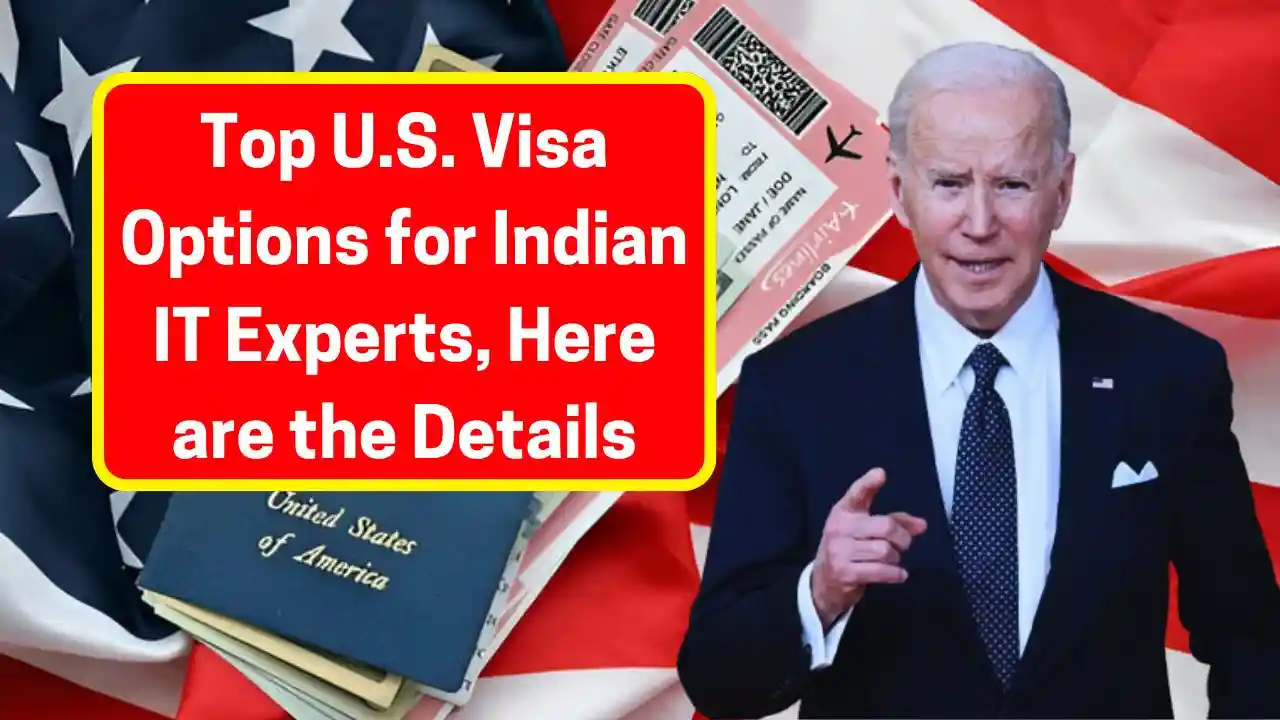 Top U.S. Visa Options for Indian IT