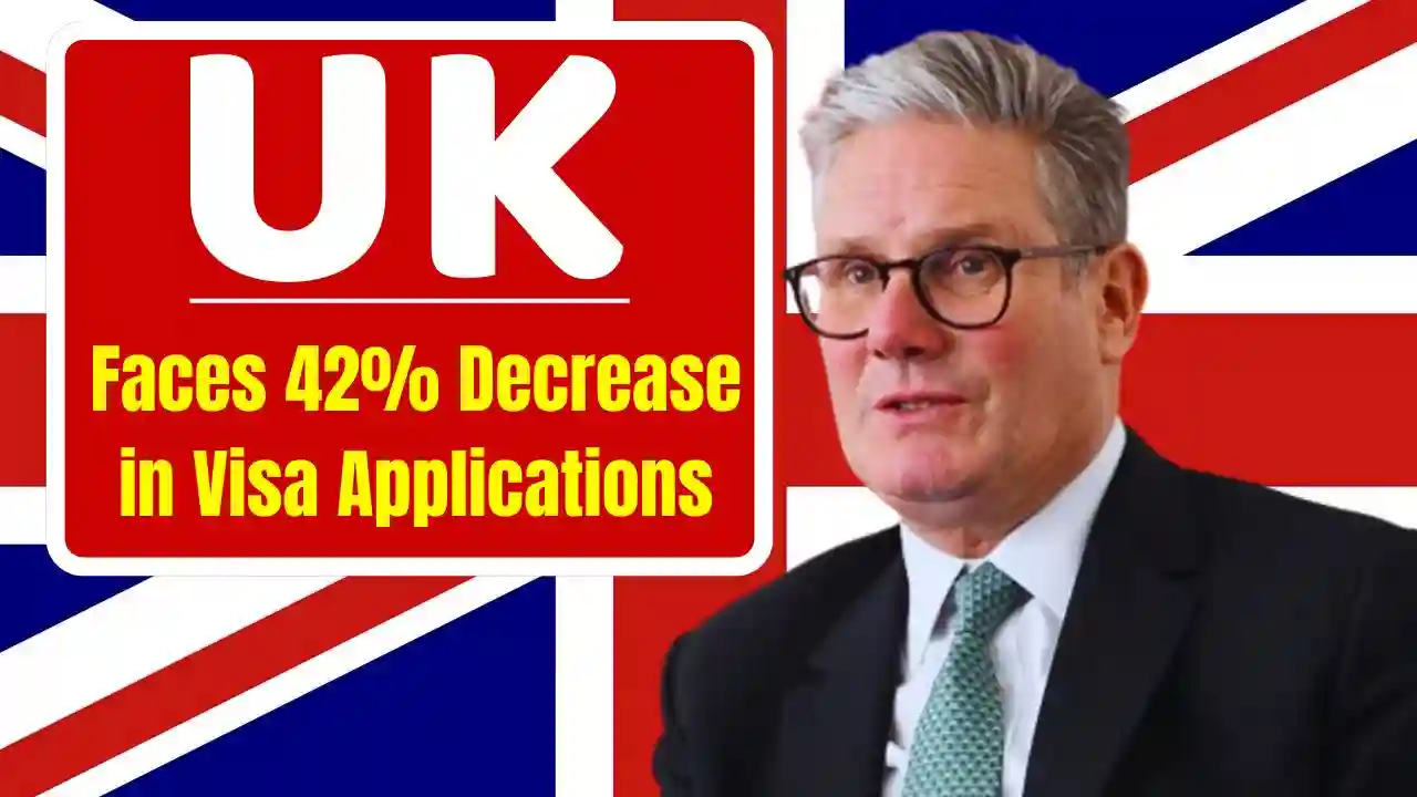 UK Faces 42 Decrease in Visa Applications